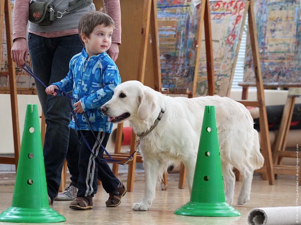¿Qué es la caninoterapia y cómo ayuda a tratar a los niños?