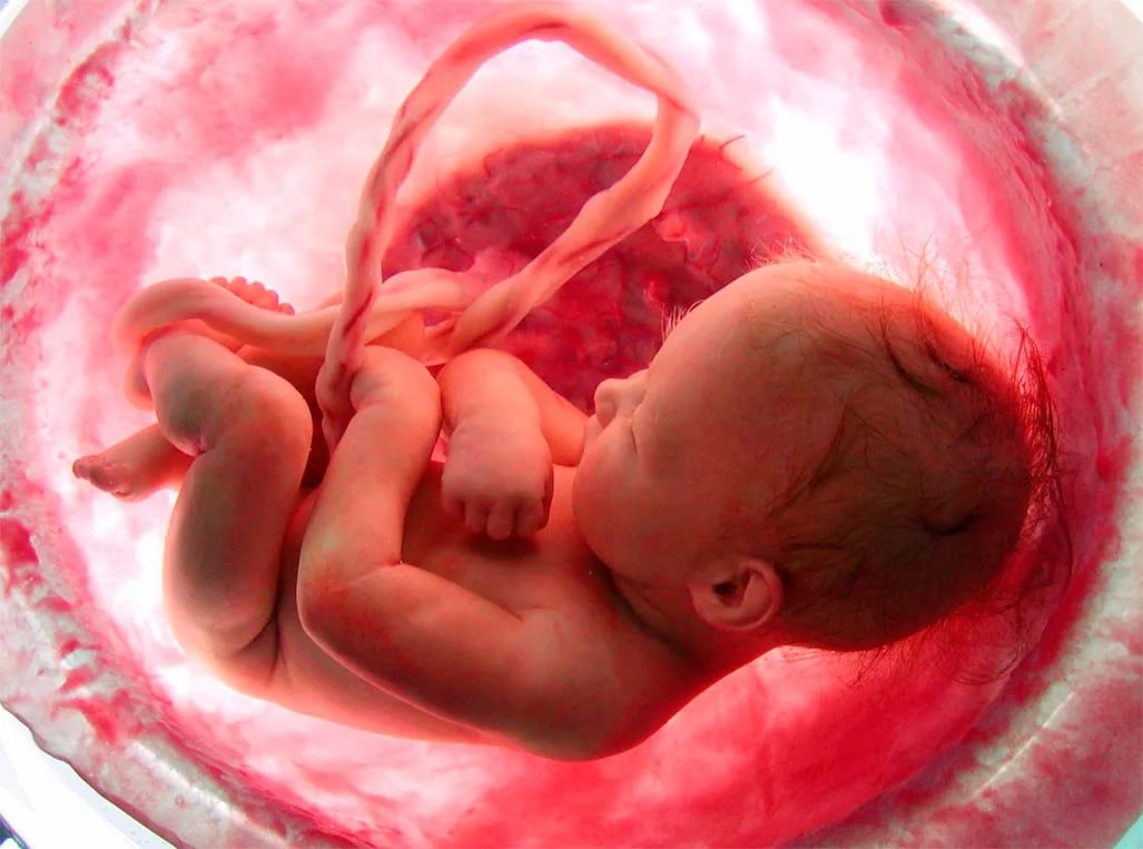 ¿Cómo respira el bebé en el útero?