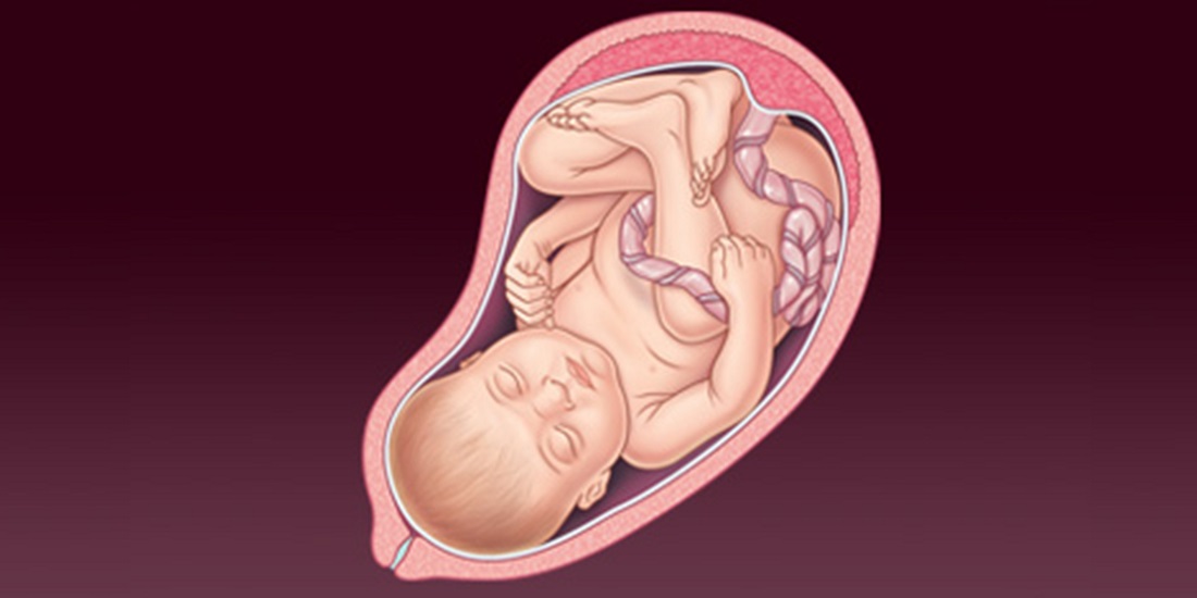 Беременность 30 недель кровь. Плод ребенка на 30 неделе беременности. Ребёнок 30 неделя беременности в утробе. Малыш на 38 неделе беременности.