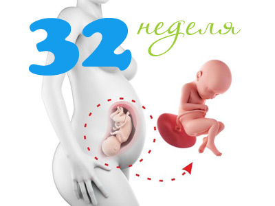 Peso y otros parámetros del feto a las 32 semanas de gestación