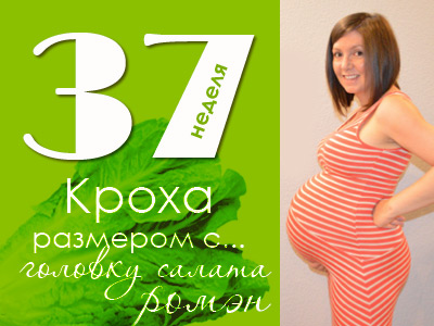 ¿Qué le sucede a la madre y al feto en las 37 semanas de embarazo?